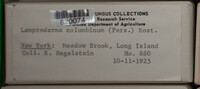 Image Associated With the Occurence